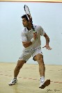 Kashif Shuja squash - wDSC_3527